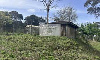 Imagem 4: Sítio com 40.800 m² em Campo Alegre, com lago, pastagem, plantação, casa, toda cercada