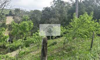 Imagem 6: Sítio com 40.800 m² em Campo Alegre, com lago, pastagem, plantação, casa, toda cercada