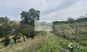 Imagem: Sítio com 40.800 m² em Campo Alegre, com