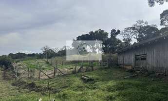 Imagem 2: Sítio com 40.800 m² em Campo Alegre, com lago, pastagem, plantação, casa, toda cercada