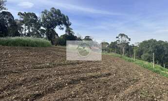 Imagem 7: Sítio com 40.800 m² em Campo Alegre, com lago, pastagem, plantação, casa, toda cercada