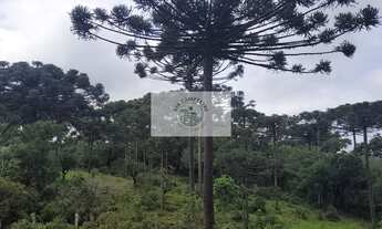 Imagem: Sítio com 85.107 m², escriturado, com