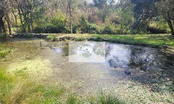 Imagem 4: Sítio com 5.785 m², documentado, região de Avenquinha, com lago, araucárias