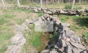 Imagem 3: Sítio com 5.785 m², documentado, região de Avenquinha, com lago, araucárias