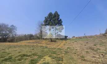 Imagem 7: Sítio com 5.785 m², documentado, região de Avenquinha, com lago, araucárias