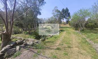 Imagem 2: Sítio com 5.785 m², documentado, região de Avenquinha, com lago, araucárias