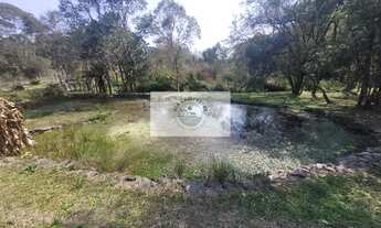 Imagem 5: Sítio com 5.785 m², documentado, região de Avenquinha, com lago, araucárias