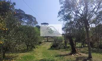 Imagem: Sítio com 5.785 m², documentado, região