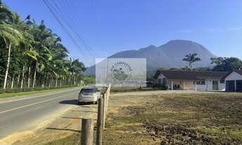 Imagem 5: Residencia com 4 dormitórios e amplo terreno de 4.970 m², na Estrada Mildau, escriturado