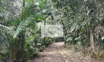 Imagem 6: Terreno rural com 92.000 m², escriturado, com lagos, nascente, no bairro Vila Nova