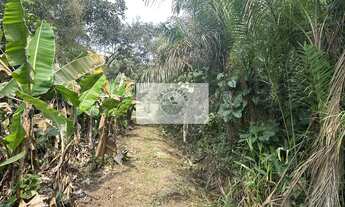 Imagem 2: Terreno rural com 92.000 m², escriturado, com lagos, nascente, no bairro Vila Nova