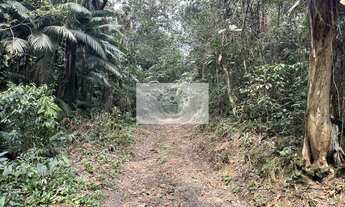 Imagem 5: Terreno rural com 92.000 m², escriturado, com lagos, nascente, no bairro Vila Nova