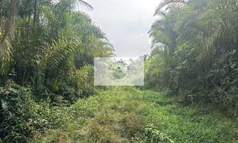 Imagem 3: Terreno rural com 92.000 m², escriturado, com lagos, nascente, no bairro Vila Nova