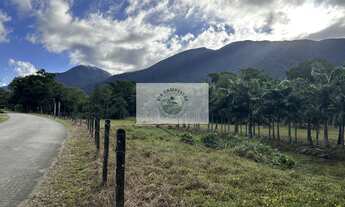 Imagem 6: Terreno para sitio, rua pavimentada, documentação em dia, com o rio Quiriri nos fundos