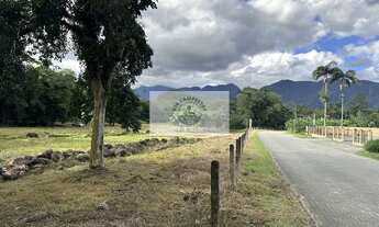 Imagem 5: Terreno para sitio, rua pavimentada, documentação em dia, com o rio Quiriri nos fundos