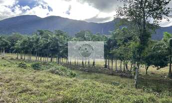 Imagem 7: Terreno para sitio, rua pavimentada, documentação em dia, com o rio Quiriri nos fundos
