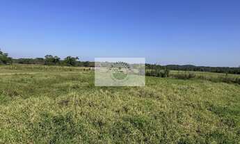 Imagem 5: Terreno plano e todo limpo, ideal para condominio fechado, região em alta valorização