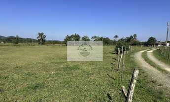 Imagem 2: Terreno plano e todo limpo, ideal para condominio fechado, região em alta valorização