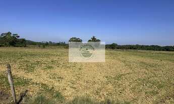 Imagem 7: Terreno plano e todo limpo, ideal para condominio fechado, região em alta valorização