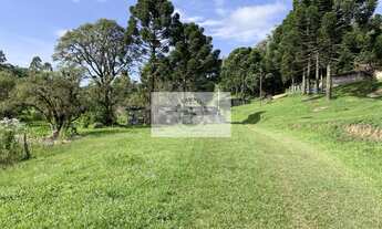 Imagem 5: Sítio com 6.245,00 m², belas araucárias, lugar alto, com uma casa para reformar, documenta