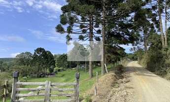 Imagem 2: Sítio com 6.245,00 m², belas araucárias, lugar alto, com uma casa para reformar, documenta