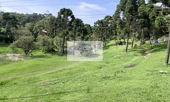 Imagem 4: Sítio com 6.245,00 m², belas araucárias, lugar alto, com uma casa para reformar, documenta