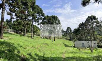 Imagem: Sítio com 6.245,00 m², belas araucárias