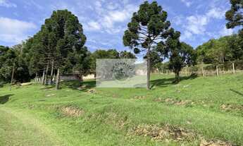 Imagem 6: Sítio com 6.245,00 m², belas araucárias, lugar alto, com uma casa para reformar, documenta