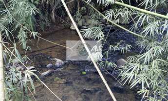 Imagem 7: Sítio com 40.657 m², em Pirabeiraba, escriturado, com riacho, Estrada do Pico