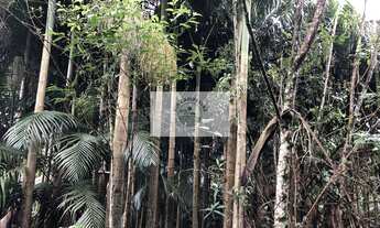 Imagem 7: Sítio na Estrada do Pico, escriturado, 105.848 m², com rios e ranchos