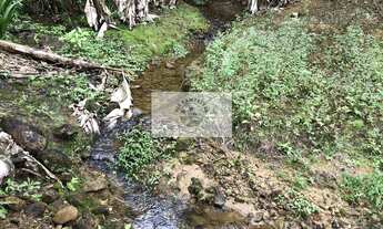 Imagem 4: Sítio na Estrada do Pico, escriturado, 105.848 m², com rios e ranchos