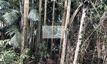 Imagem 6: Sítio na Estrada do Pico, escriturado, 105.848 m², com rios e ranchos