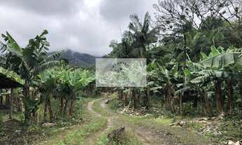 Imagem 3: Sítio na Estrada do Pico, escriturado, 105.848 m², com rios e ranchos