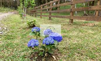 Imagem: Terreno em Campo Alegre com 99.000 m²