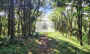 Imagem 4: Terreno em Campo Alegre com 99.000 m², com pastagem, uma linda lagoa, escriturado