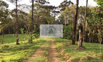 Imagem 6: Terreno em Campo Alegre com 99.000 m², com pastagem, uma linda lagoa, escriturado