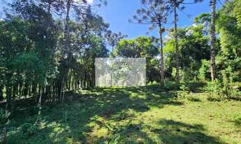 Imagem 3: Terreno em Campo Alegre com 99.000 m², com pastagem, uma linda lagoa, escriturado