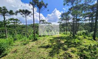 Imagem 5: Terreno em Campo Alegre com 99.000 m², com pastagem, uma linda lagoa, escriturado