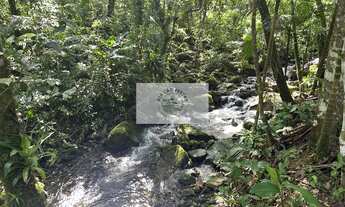 Imagem 3: Terreno rural com 23.000 m2 no Quiriri, com rios e quedas da agua