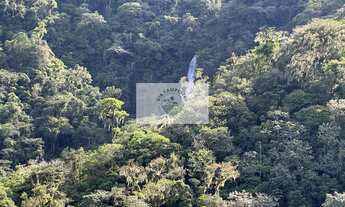 Imagem 2: Terreno rural com 23.000 m2 no Quiriri, com rios e quedas da agua