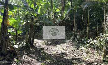 Imagem 5: Terreno rural com 23.000 m2 no Quiriri, com rios e quedas da agua