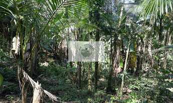 Imagem 4: Terreno rural com 23.000 m2 no Quiriri, com rios e quedas da agua