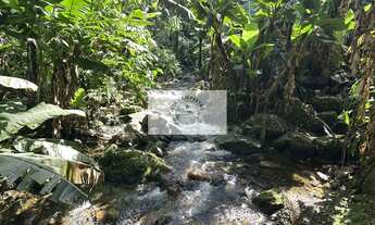 Imagem 6: Terreno rural com 23.000 m2 no Quiriri, com rios e quedas da agua