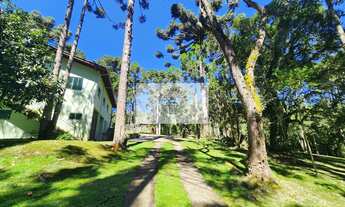 Imagem 7: Sítio com 17.000 m², com casa de material e casa de madeira, escriturada, com rio, em Camp