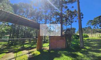 Imagem: Sítio com 17.000 m², com casa de material