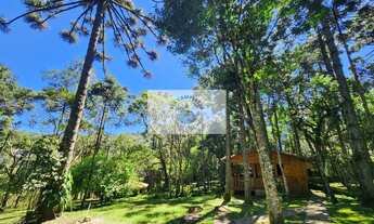 Imagem 6: Sítio com 17.000 m², com casa de material e casa de madeira, escriturada, com rio, em Camp