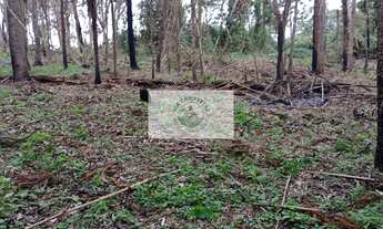 Imagem 4: Terreno comercial em Campo Alegre/SC, de frente para a SC 418, para investimento
