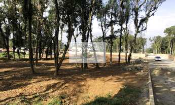 Imagem 4: Terreno em condomínio fechado em Pirabeiraba com 9.000 m², frente para o asfalto, aceita p