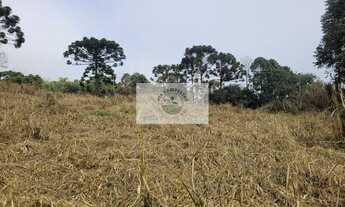 Imagem 7: Terreno com 6.000 m², frente para o asfalto, escriturado