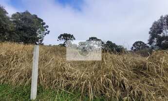 Imagem 3: Terreno com 6.000 m², frente para o asfalto, escriturado